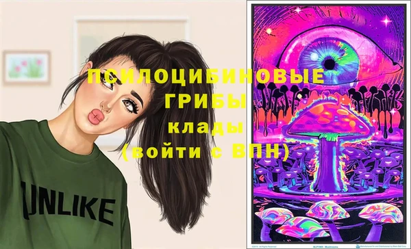прущий лед Белокуриха