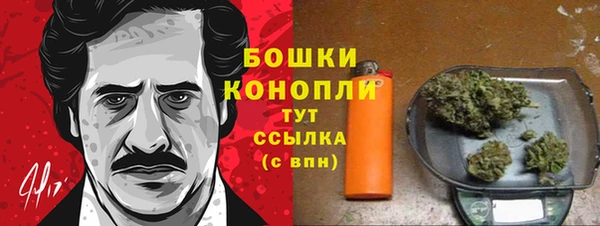 твердый Переславль-Залесский