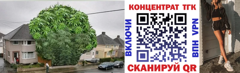 кракен сайт  наркошоп  Бузулук  ТГК Wax 