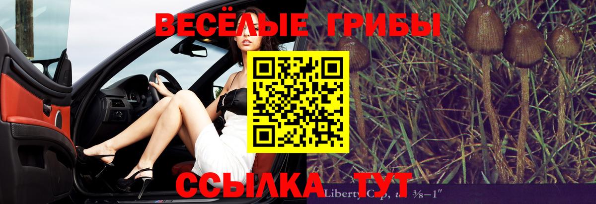 Бузулук  Галлюциногенные грибы Psilocybe  Вход с VPN 